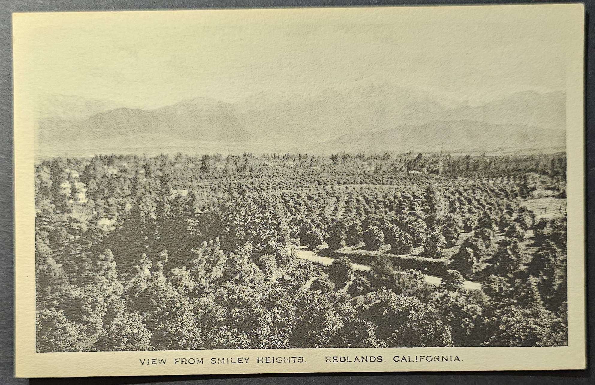 (image for) postcard USA - CA - California #0111